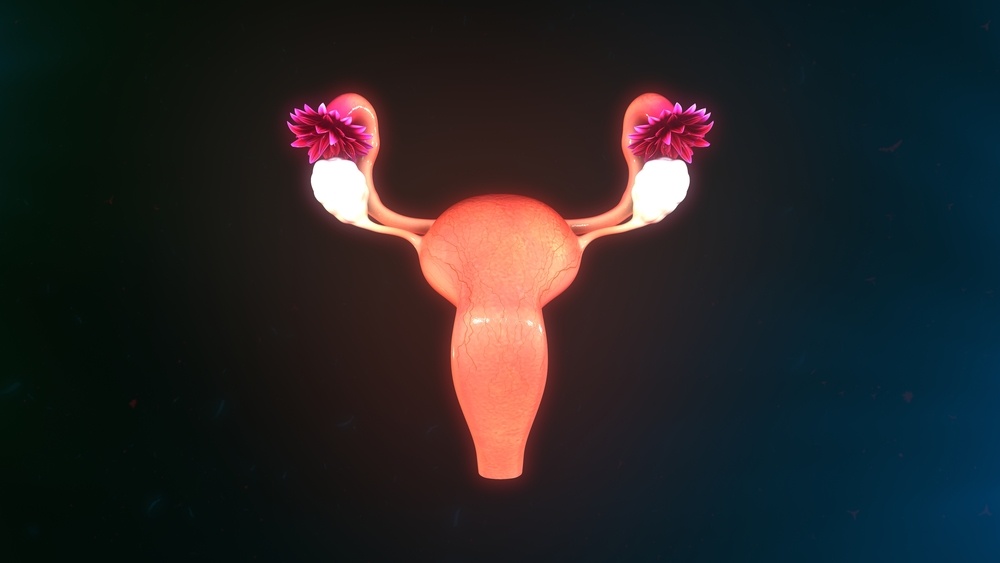 Endometrial Receptivity Preparing Your Uterus for Embryo Transfer