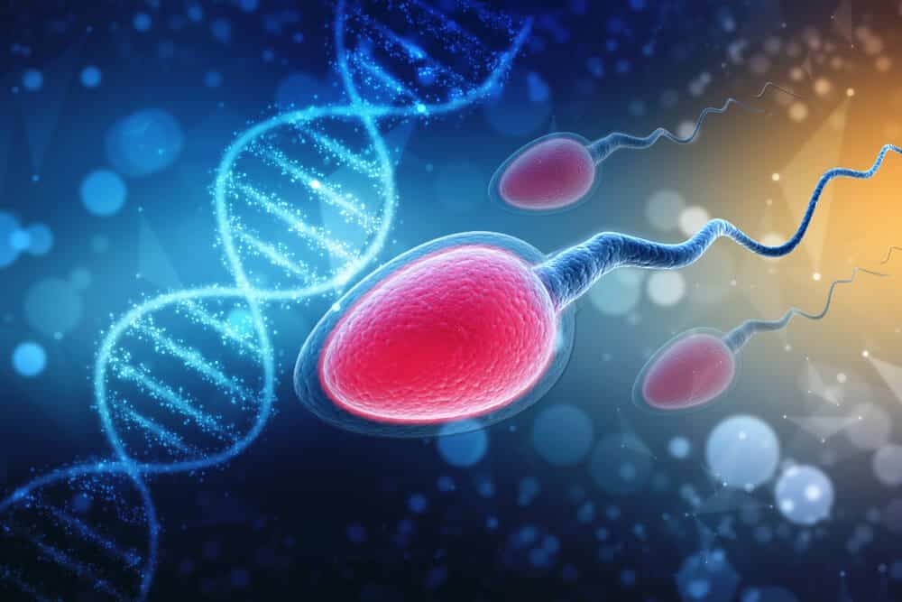 What Is Epigenetics and Why It Matters in Sperm